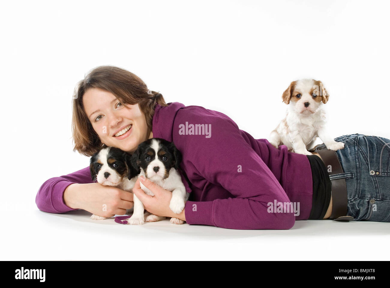 junge Frau Cavalier King Charles Spaniel Welpen Stockfoto