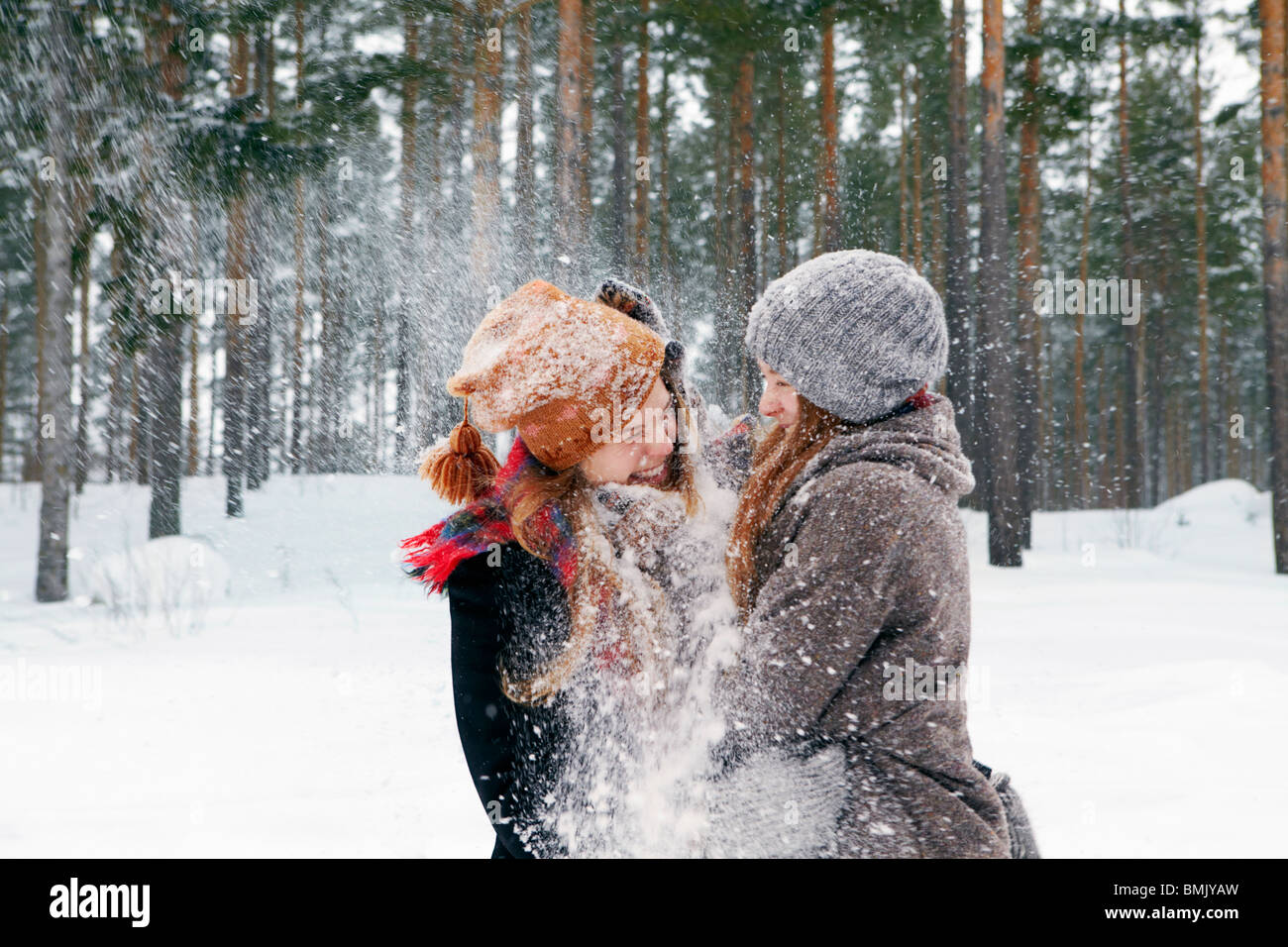 Schneeballschlacht Stockfoto