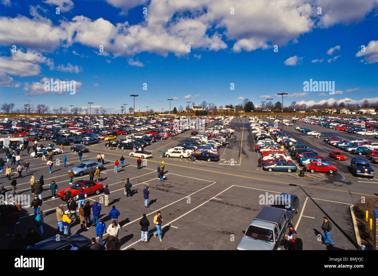 Blick auf gebrauchte Automobile bei Manheim Auto Auktion, weltweit größte Auto-Auktions-Website. Stockfoto