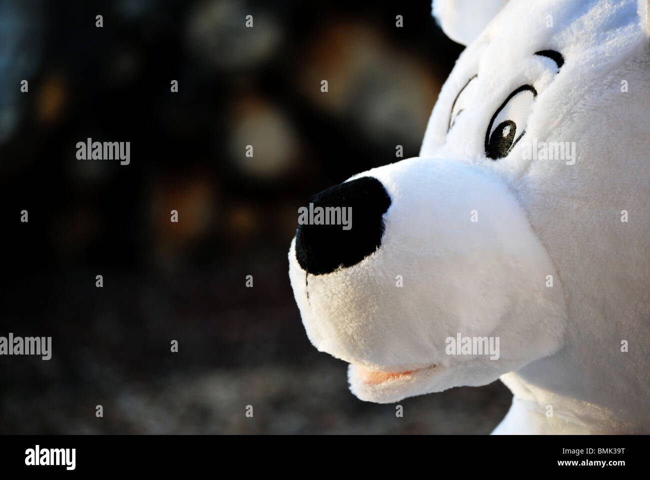 Eine Nahaufnahme des Gesichts eine gefüllte weißer Eisbär (Profil). Stockfoto