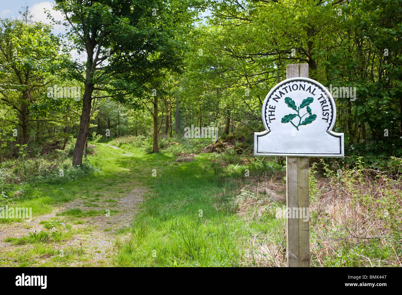National Trust Wegweiser England UK am Eingang ein Waldweg Stockfoto