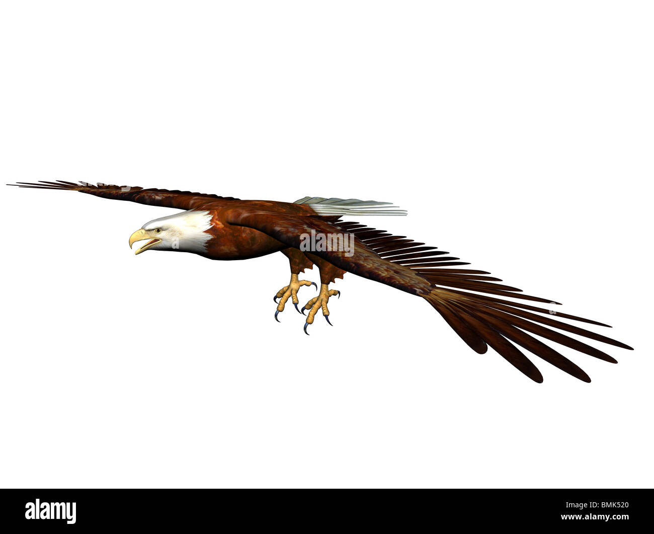 Fliegenden Adler Stockfotografie Alamy