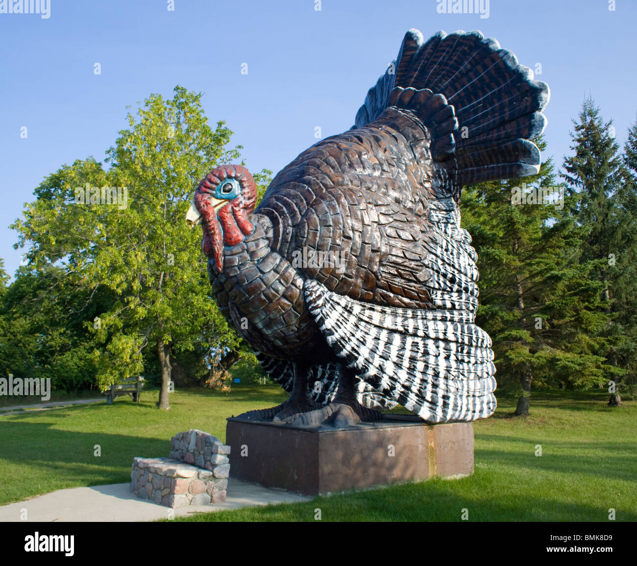 Riesige Türkei in Frazee Minnesota Stockfoto