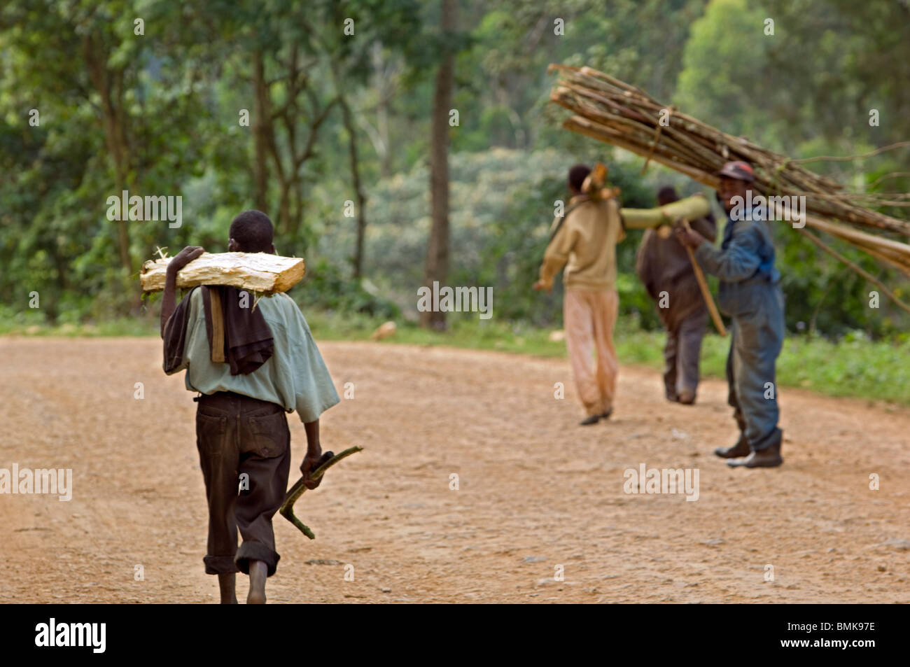 Ein Junge trägt ein großes Stück Holz hat er aus dem Wald mit anderen Männern mit Bündeln von Holz über ihre Schultern geschnitten Stockfoto