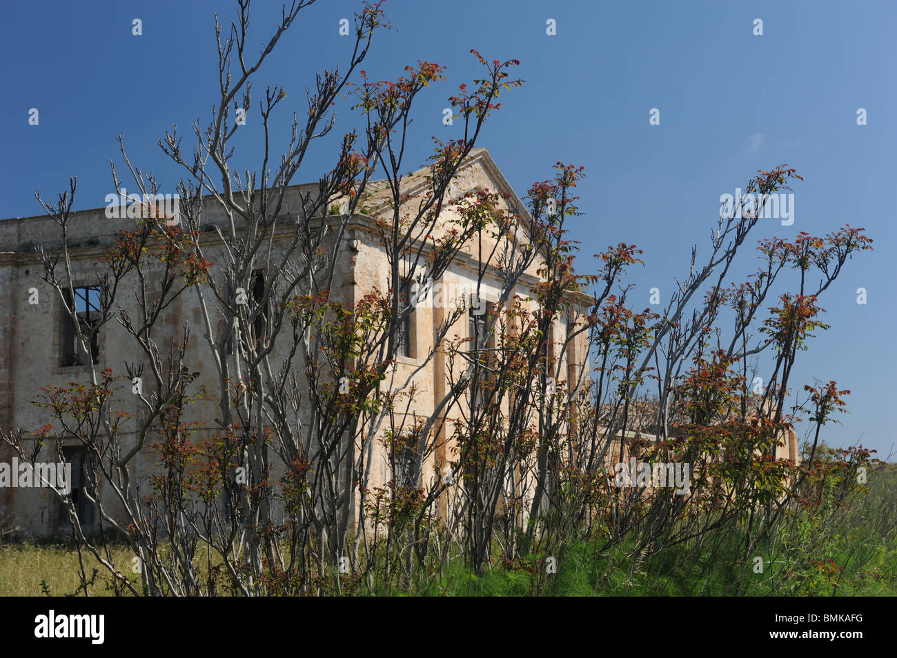 Aufgegebenen militärischen Gebäude durch Vordergrund von wilden Blumen in La Mola, Mahon, Menorca, Spanien Stockfoto