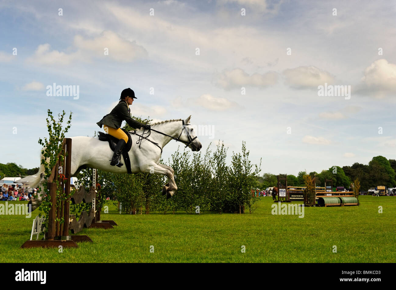 Pferdesport-Event auf der Northumberland County Show in Corbridge Stockfoto