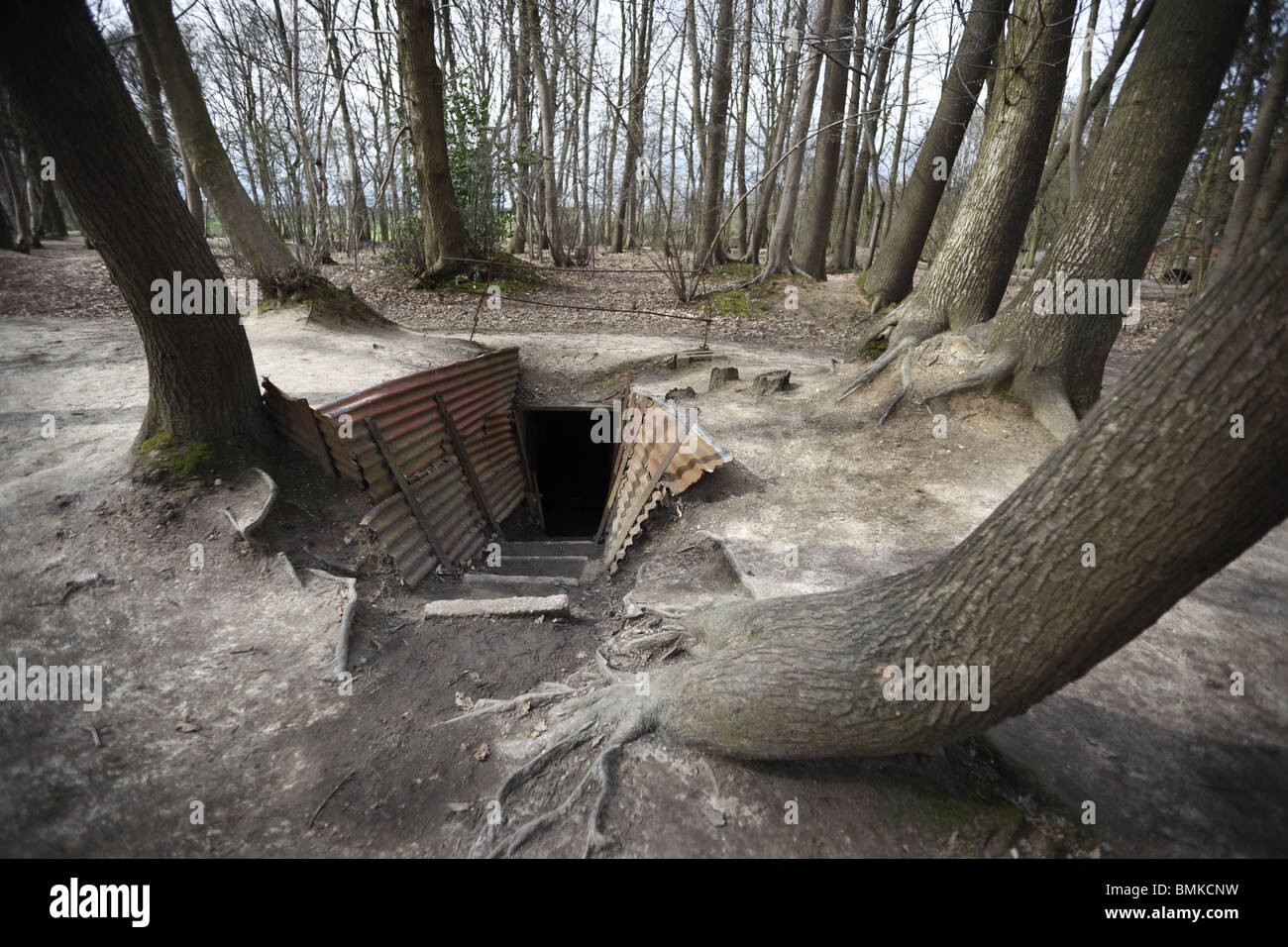 1. Weltkrieg Gräben bei Sanctuary Wald bei Ypern in Belgien. Stockfoto