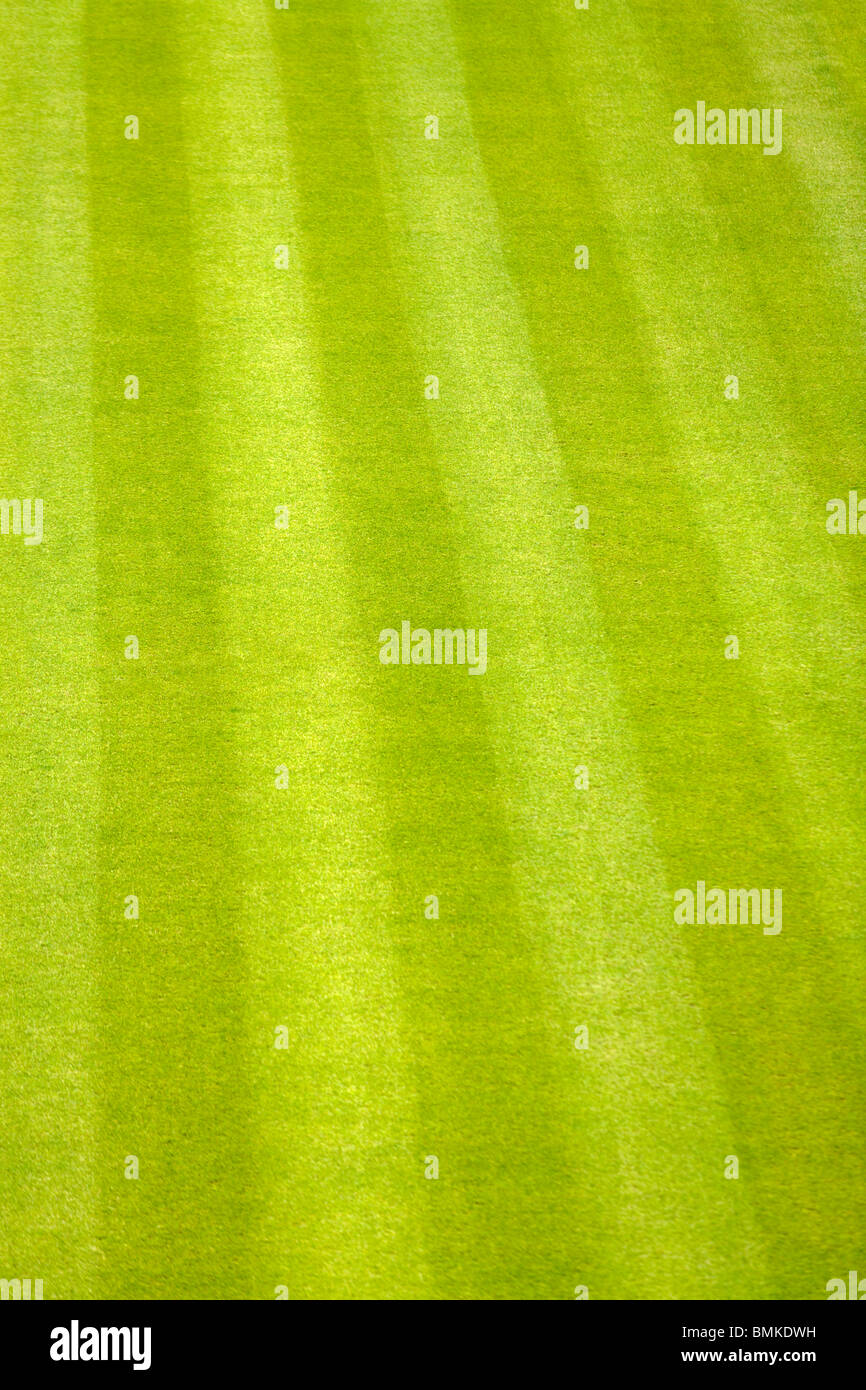 Rasen-Streifen und gestreiften Rasen auf einem gut definierten Rasen. Stockfoto