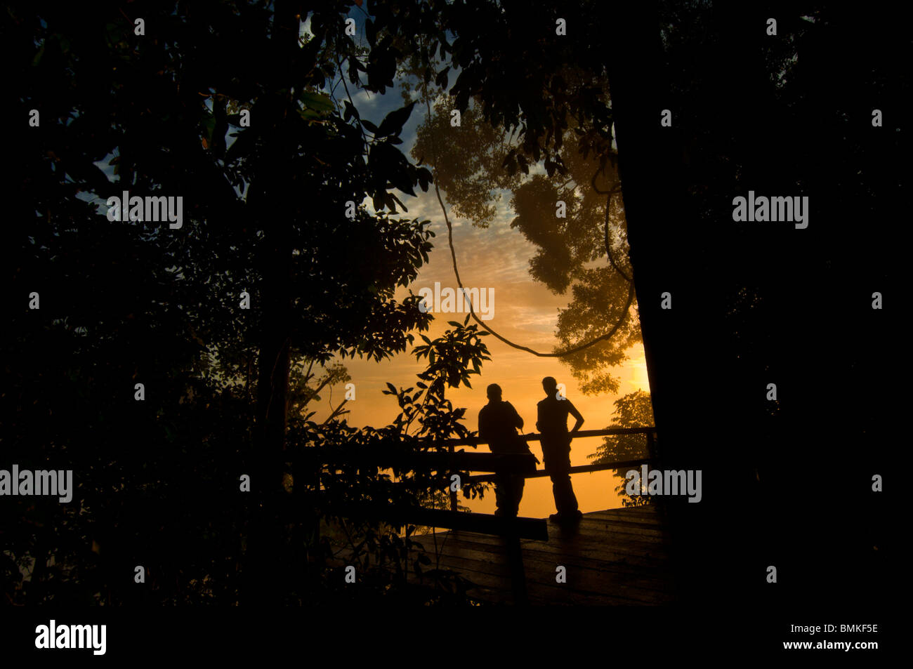 Touristen bei Sonnenaufgang aus dem Wald Aussichtspunkt, Danum Valley, Sabah, Borneo. Stockfoto
