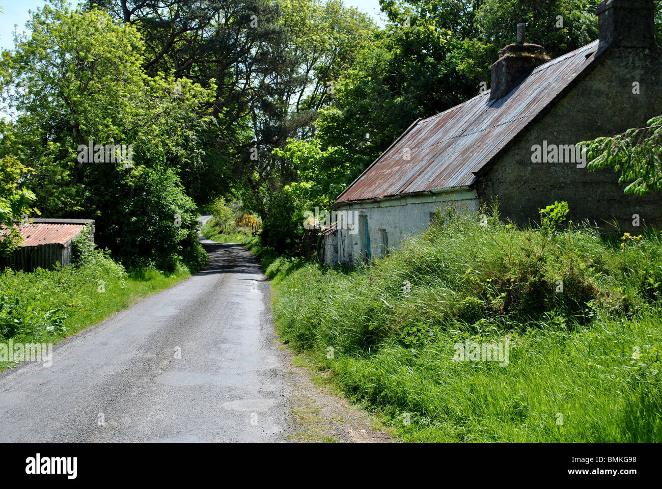 alte traditionelle irische cottage Stockfoto