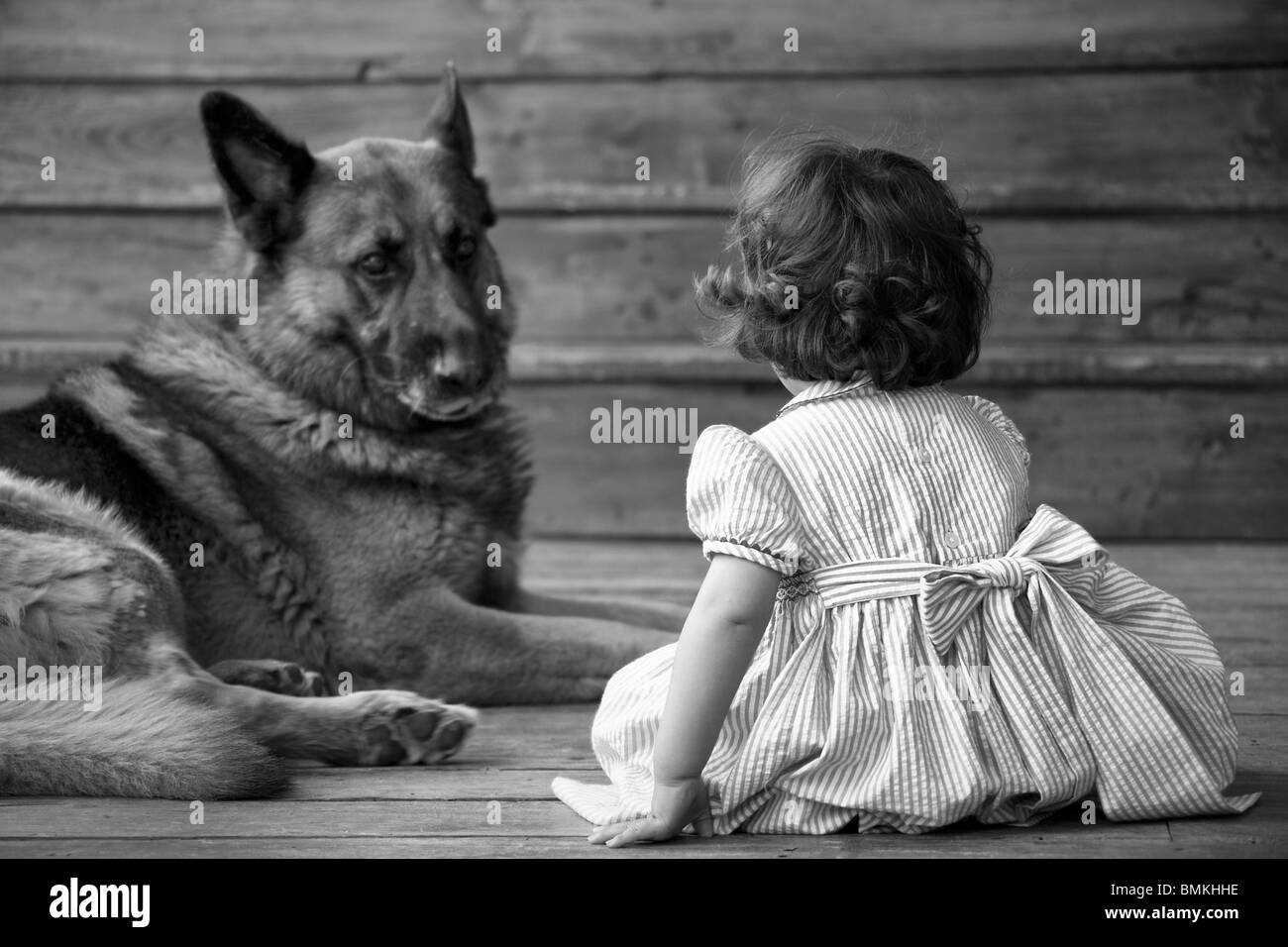 ein kleines Mädchen und ihr großer Hund Stockfoto