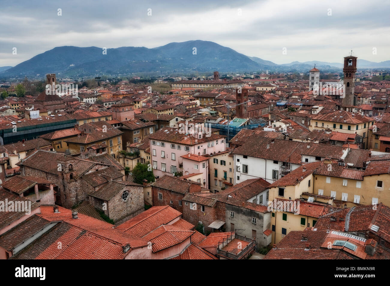 Blick auf Luccas Dach anführt, Dächer, Toskana, Italien, Europa Stockfoto