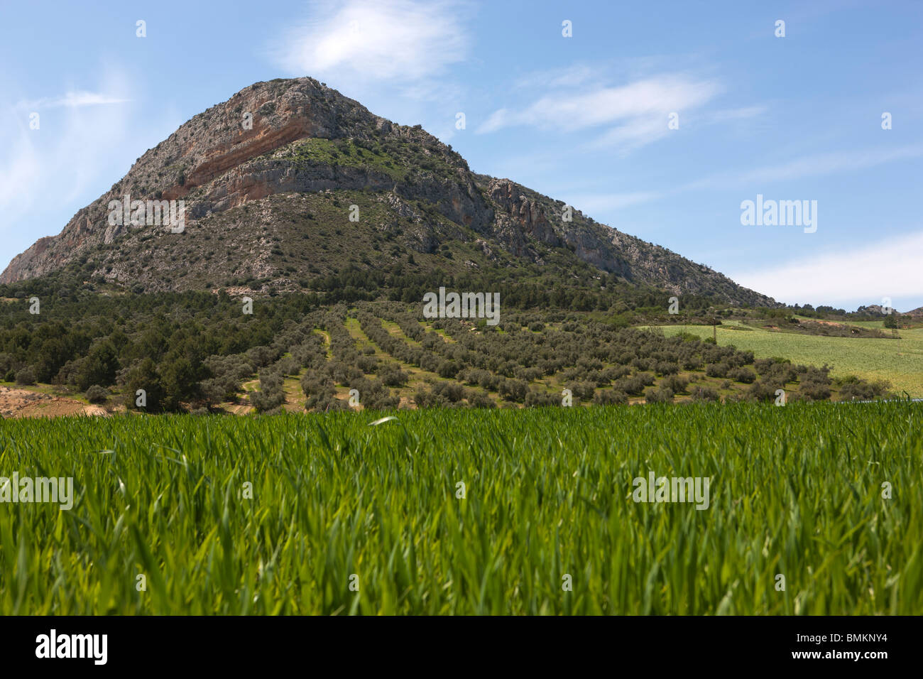 Landschaft des Landes. Provinz Malaga. Andalucia. Spanien. Europa Stockfoto