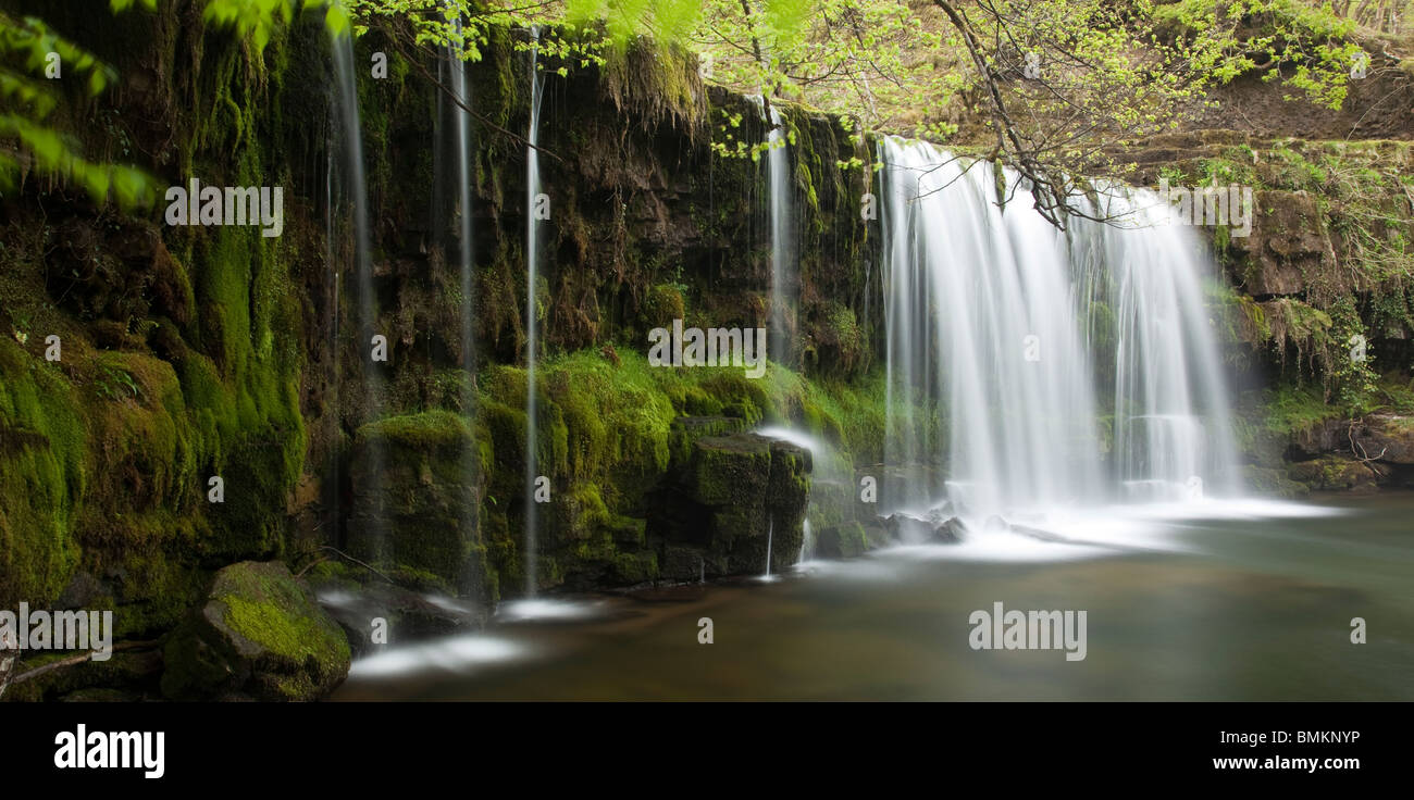 Scwd Ddwli Wasserfall Brecon Beacons Nationalpark Wales Stockfoto