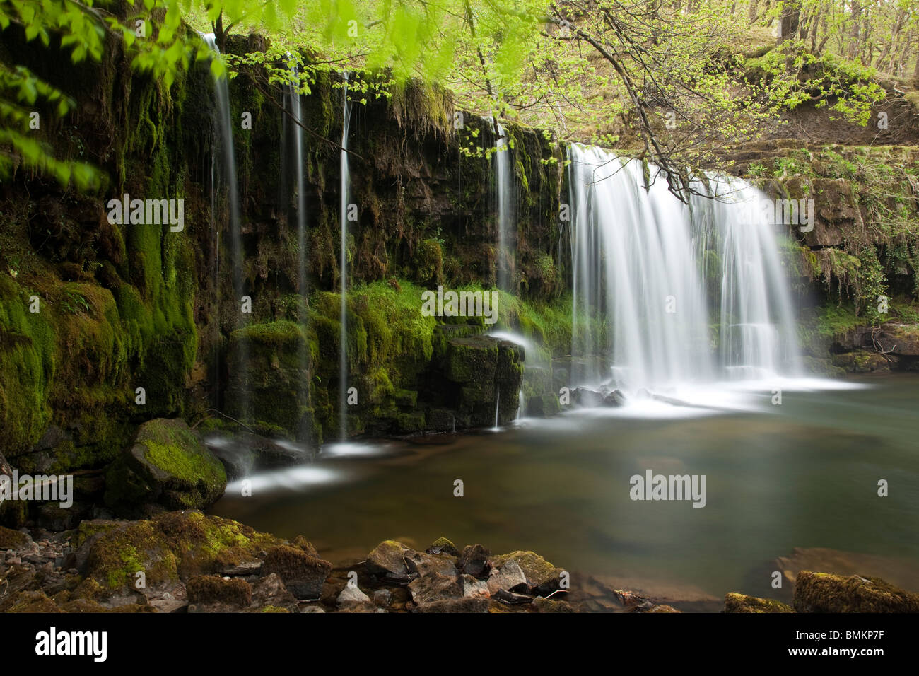 Scwd Ddwli Wasserfall Brecon Beacons Nationalpark Wales Stockfoto