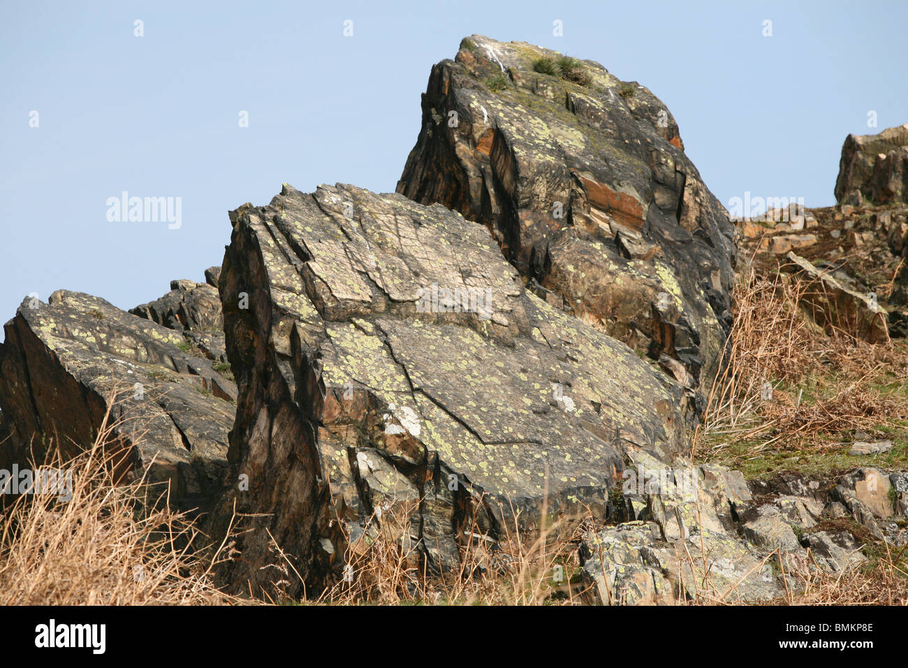 Ausläufer der Felsen am Bradgate Park leicestershire Stockfoto