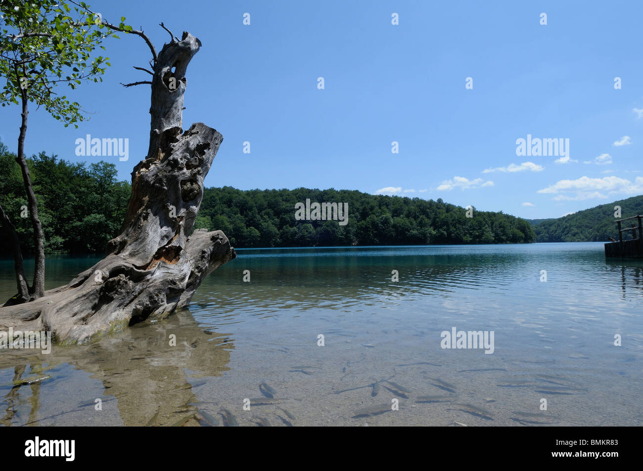 Nationalpark Plitvicer Seen in Kroatien Stockfoto