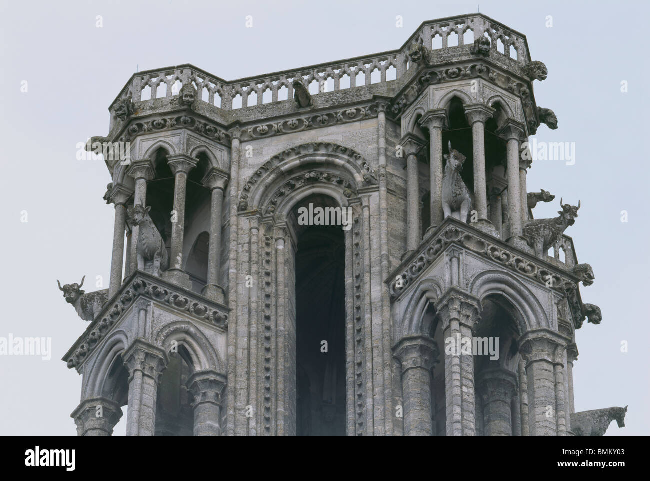 Laon Kathedrale, Frankreich. Detail des Ochsen oder Kühe auf Süd-West-Turm. Stockfoto