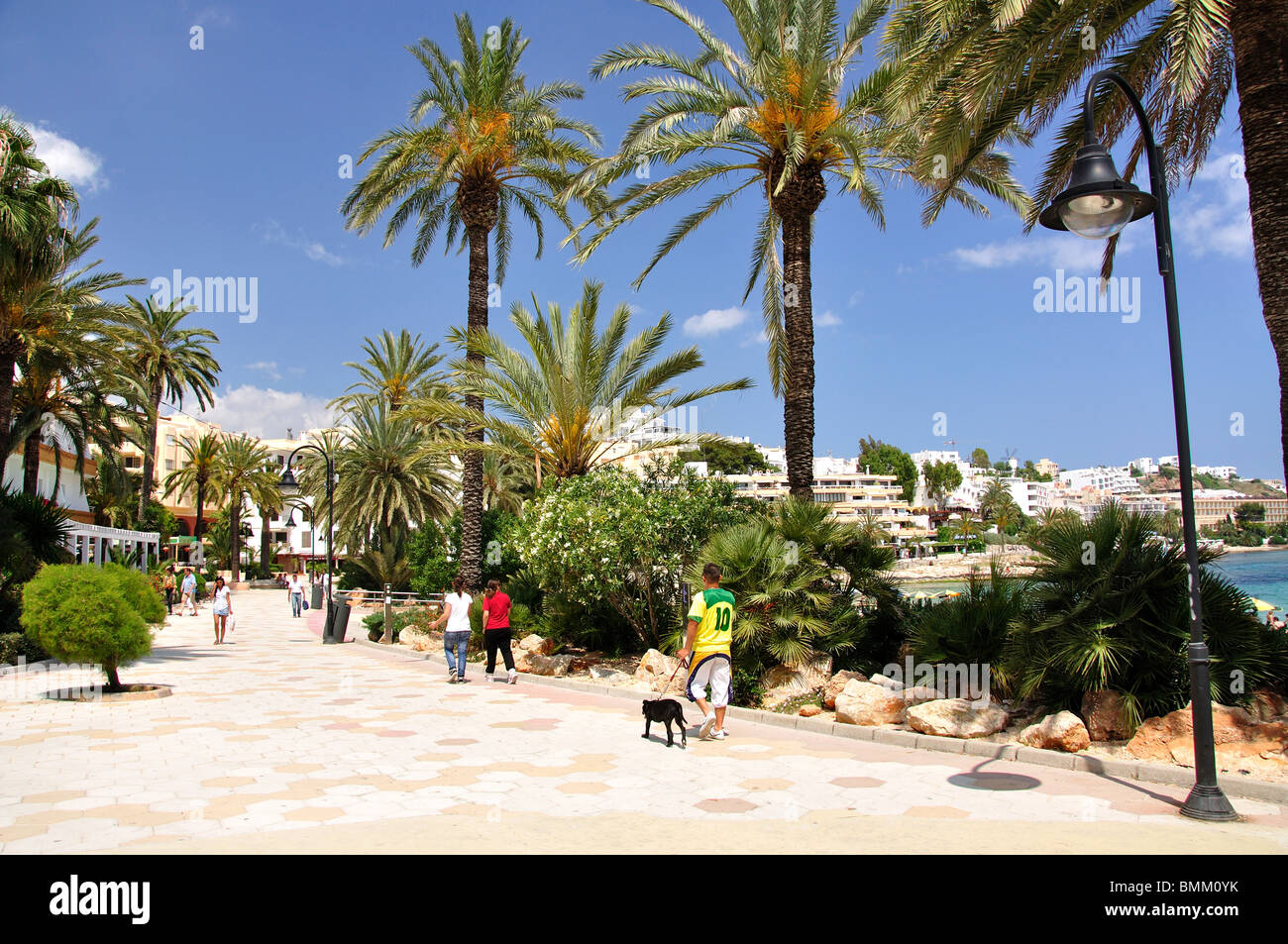 Palmen gesäumte Promenade, Platja de ses Figueretes, ses Figueretes, Ibiza, Balearen, Spanien Stockfoto