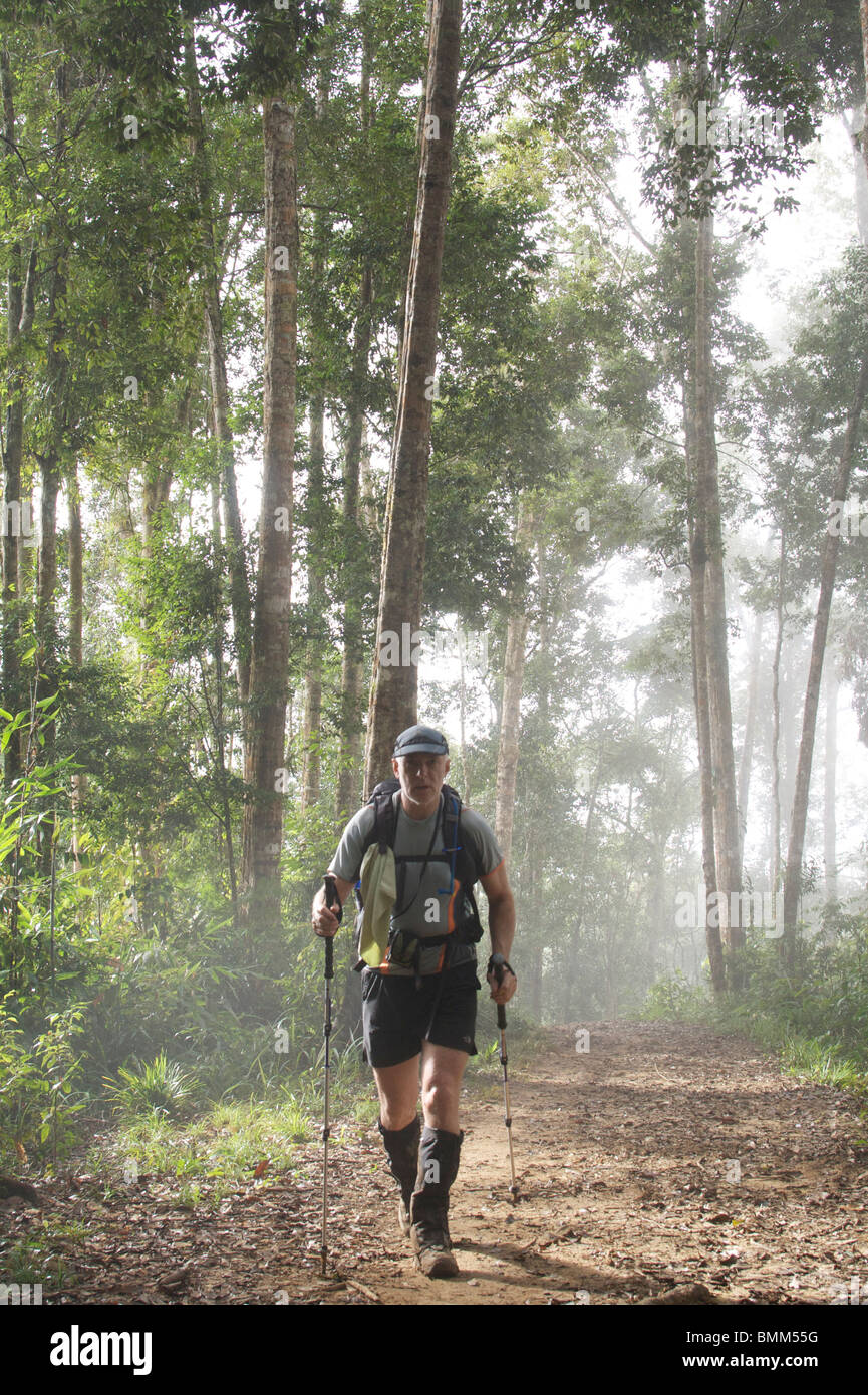 Wandern auf dem Kokoda Trail in Papua-Neuguinea - eine der schwierigsten Wanderungen in PNG Stockfoto