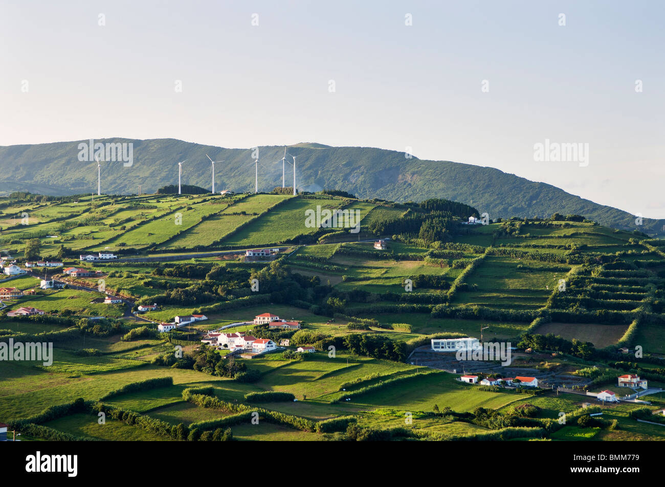 Hedge-Landschaft in Insel Faial, Azoren, Portugal Stockfoto