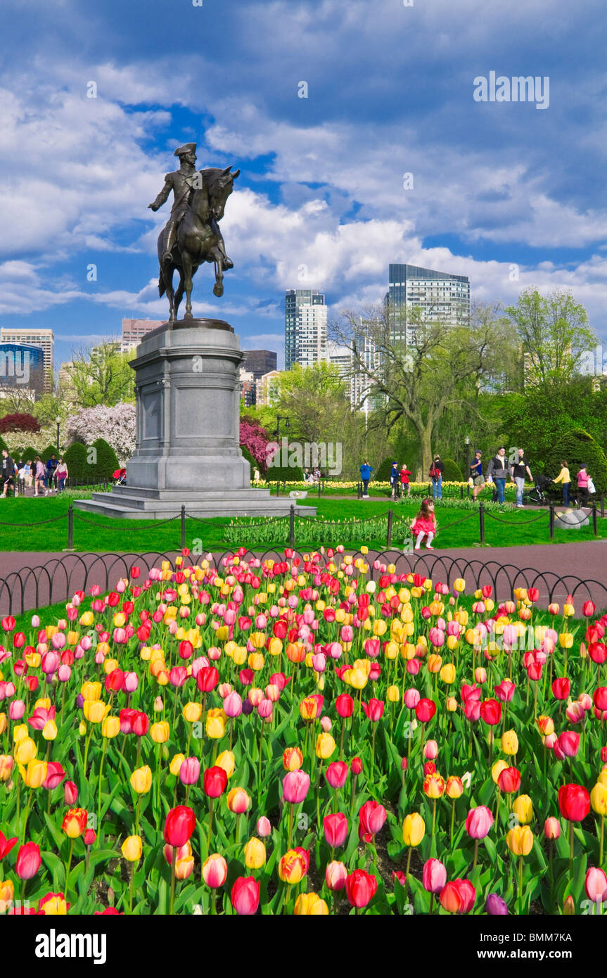 Tulpen und George Washington-Statue an der Boston Public Garden, Boston, Massachusetts Stockfoto