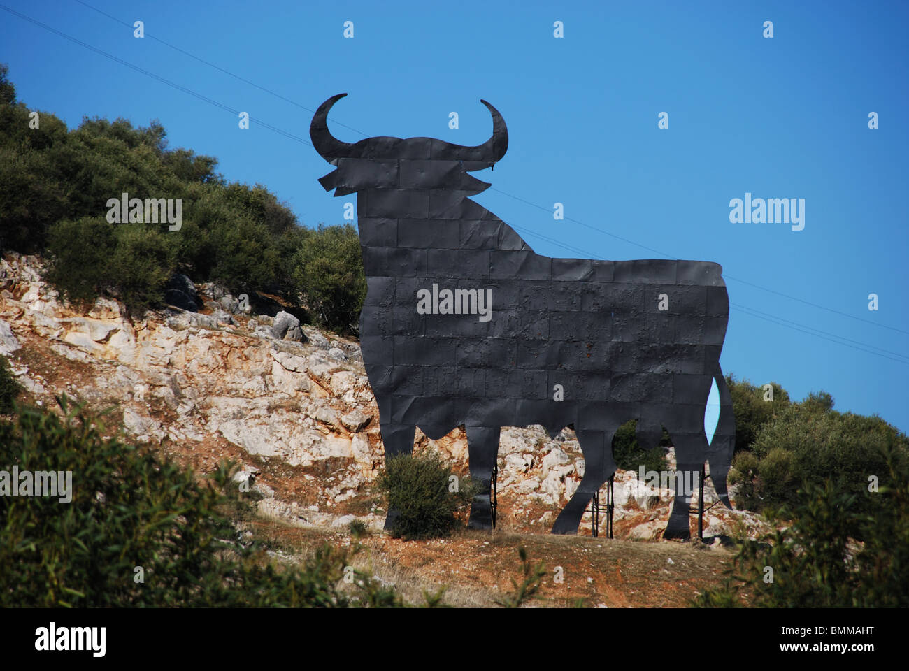Osborne-Stier am Hang, in der Nähe von Westeuropa Estepa, Provinz Sevilla, Andalusien, Spanien. Stockfoto
