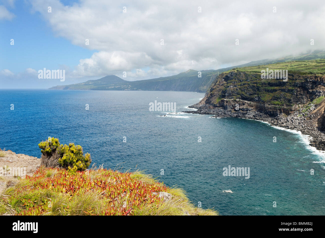 Wilde Landschaft in Insel Faial, Azoren, Portugal Stockfoto