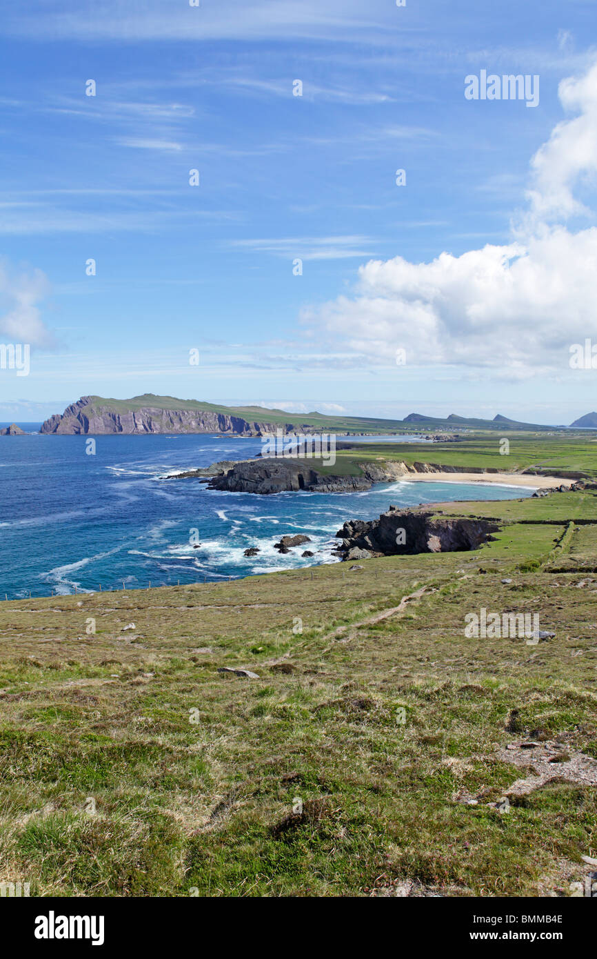 Klippen von Sybil Point in der Nähe von Ballyferriter, Dingle Halbinsel, Co. Kerry, Irland Stockfoto