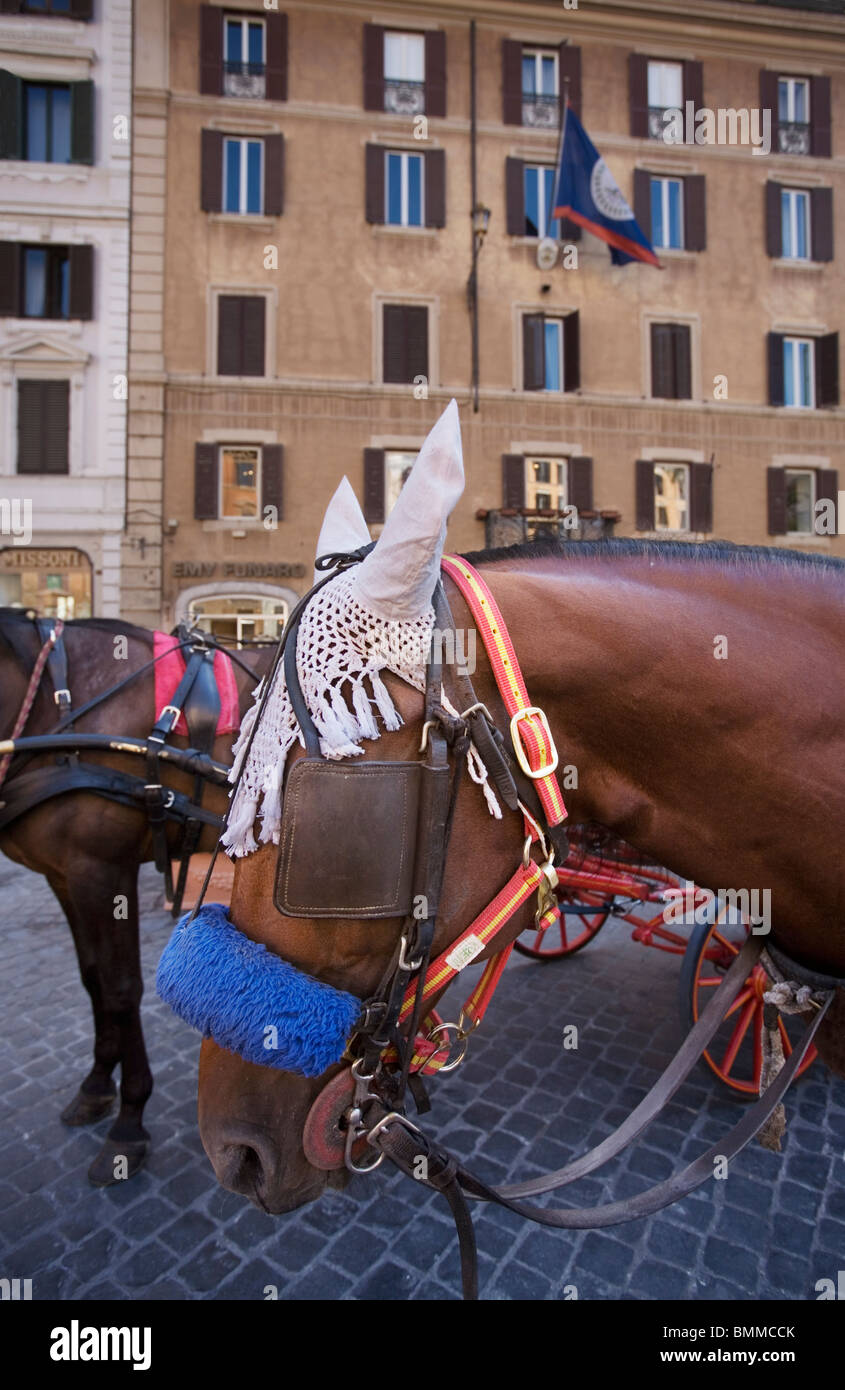 Gezogenen Kutschen in Piazza Spagna, Rom, Italien Stockfoto
