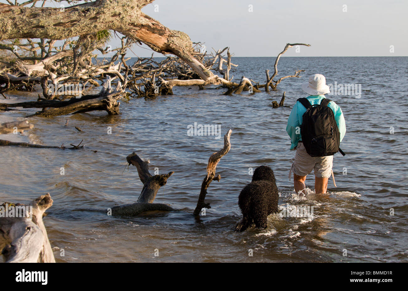 Wandern an der Küste entlang der Golfküste mit einem Rucksack und einem Hund Stockfoto