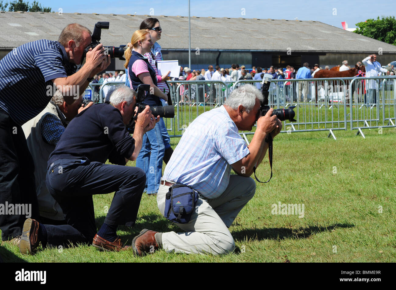 eine Gruppenausstellung von Pressefotografen in das Vieh Ring am royal Cornwall Show, Wadebridge, Cornwall, uk Stockfoto