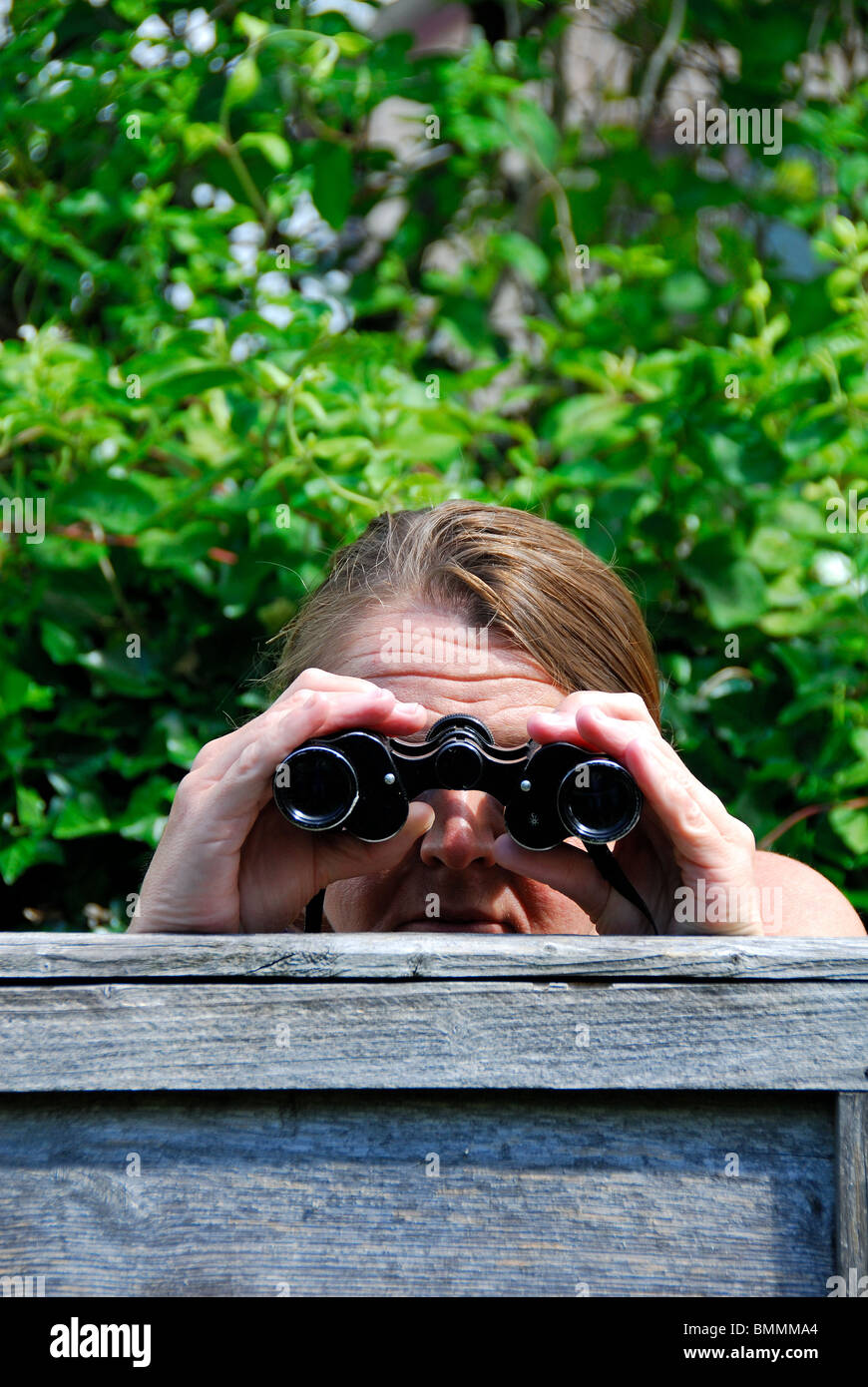 Eine Frau, die Spionage auf ihrem Nachbarn mit einem Fernglas. Stockfoto