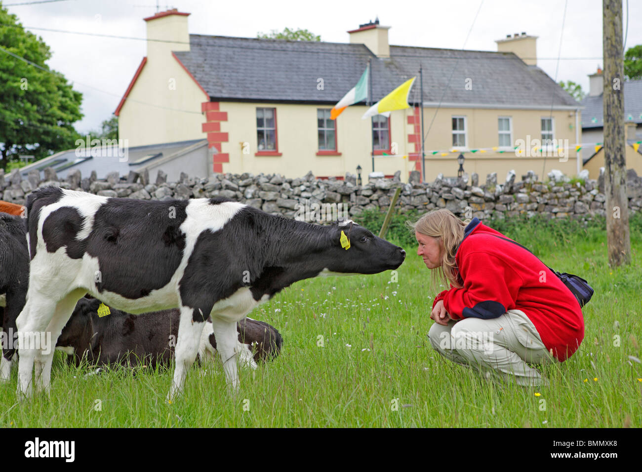 Frau betrachten ein Kalb, Kilfenora, Burren, Co. Clare, Irland Stockfoto