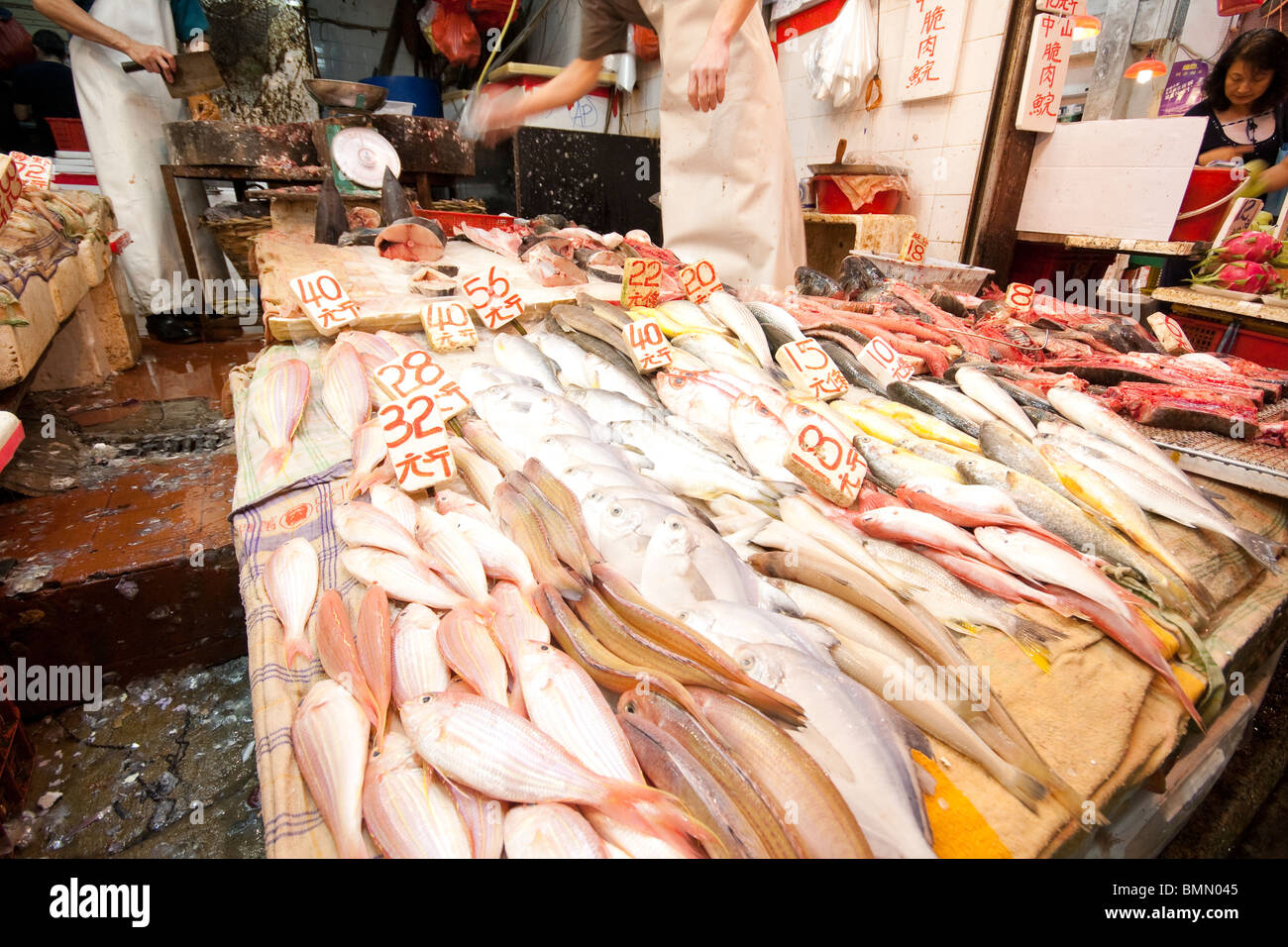 Fische und Meeresfrüchte auf dem Display im Shop im Fischmarkt in Hong Kong Stockfoto