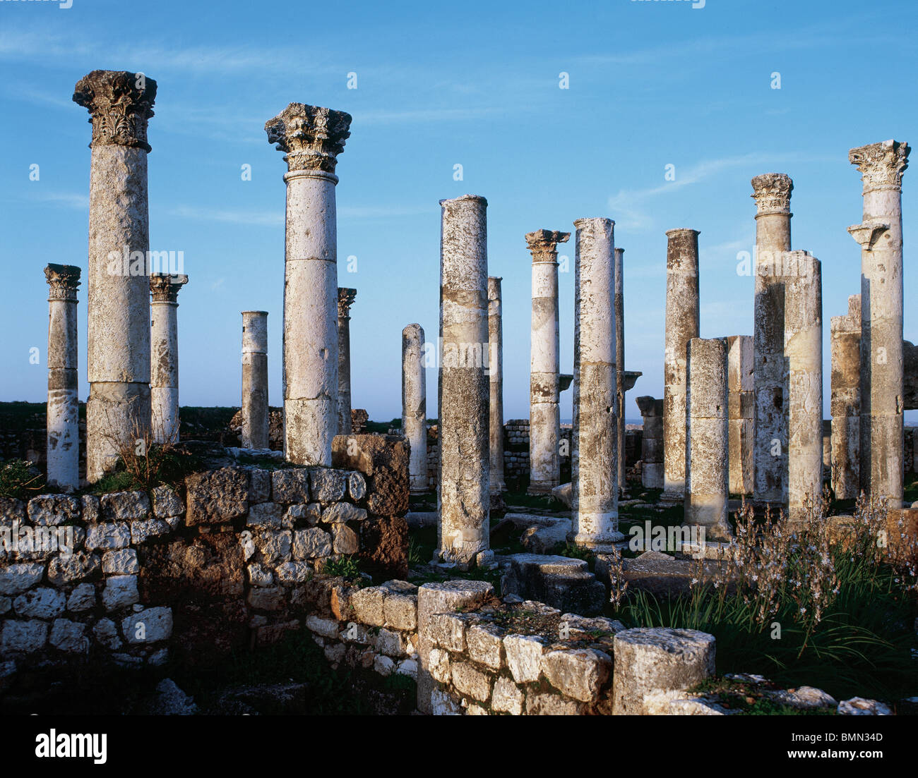 Syrien. APAMEIA (Afamia). Römischer Häuser. Die Ruinen. Stockfoto