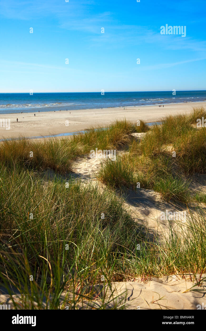 Dünen und Strand an der französischen Kanalküste Stockfoto