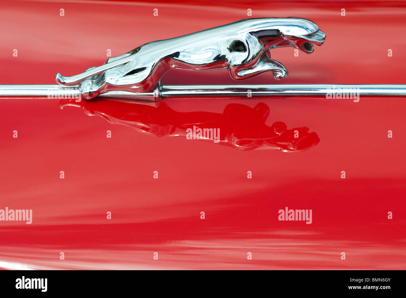 Springenden jaguar Maskottchen auf einem Oldtimer Jaguar E-type Motorhaube. Klassische britische Autos Stockfoto