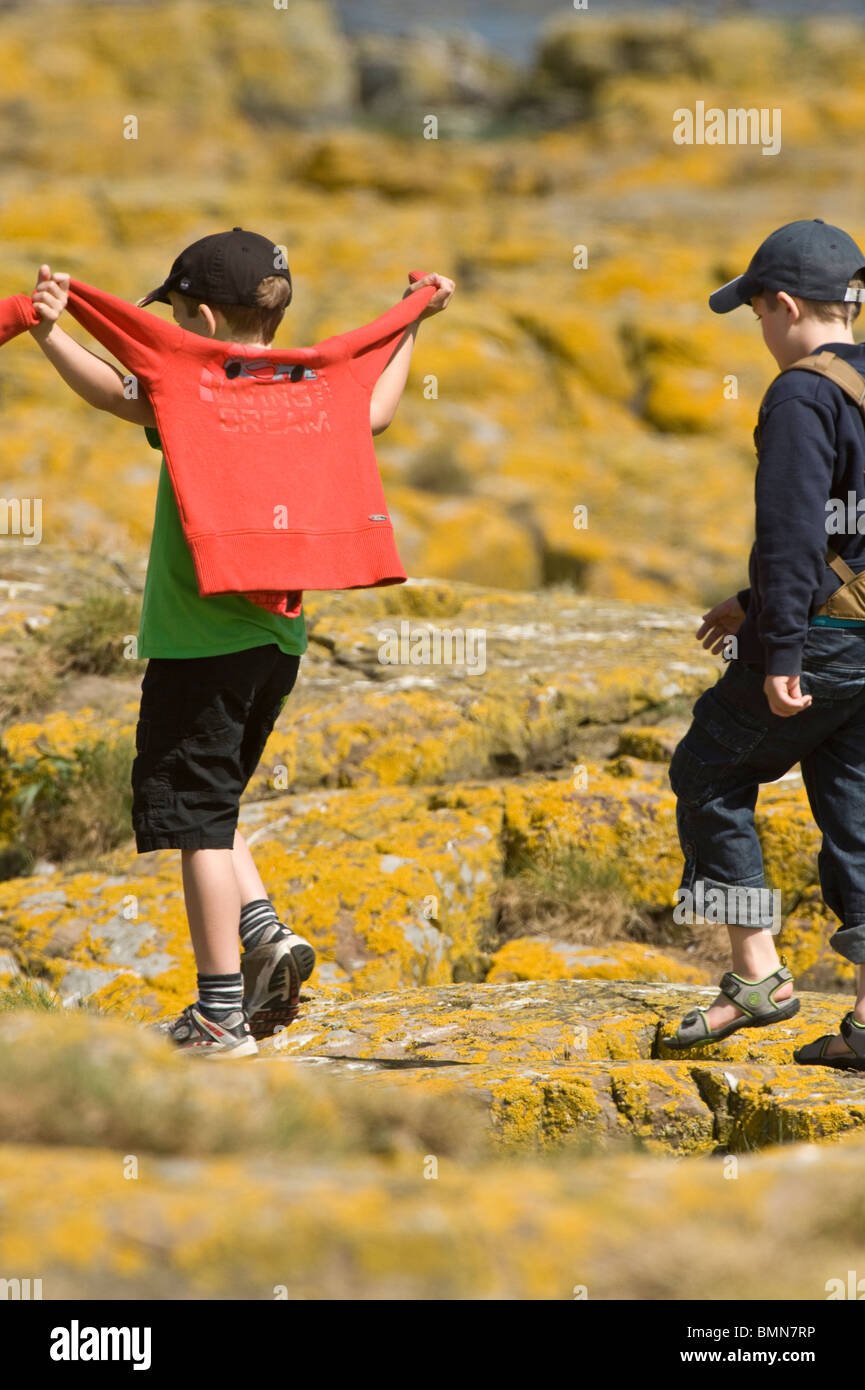 Zwei jungen, die zu Fuß auf Flechten Cover rocks Farne Islands, Northumberland Küste, England, UK, Europa, Juni Stockfoto
