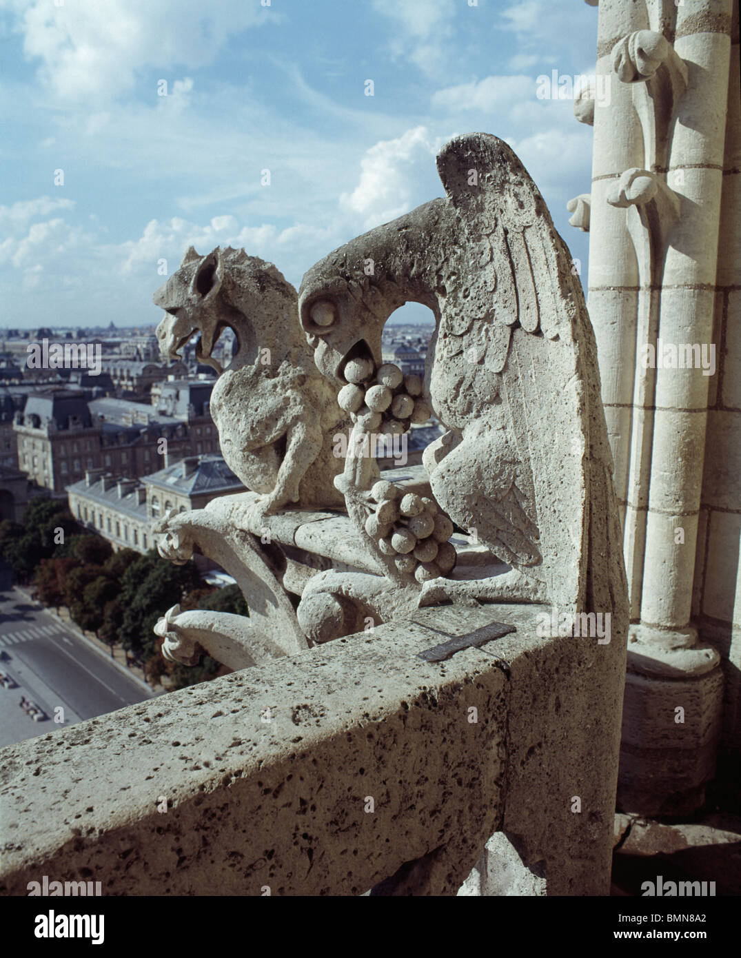 Notre-Dame, Paris, Frankreich. Gotische Kathedrale. Geflügelte Bestie auf Turm. Foto 1977. Stockfoto