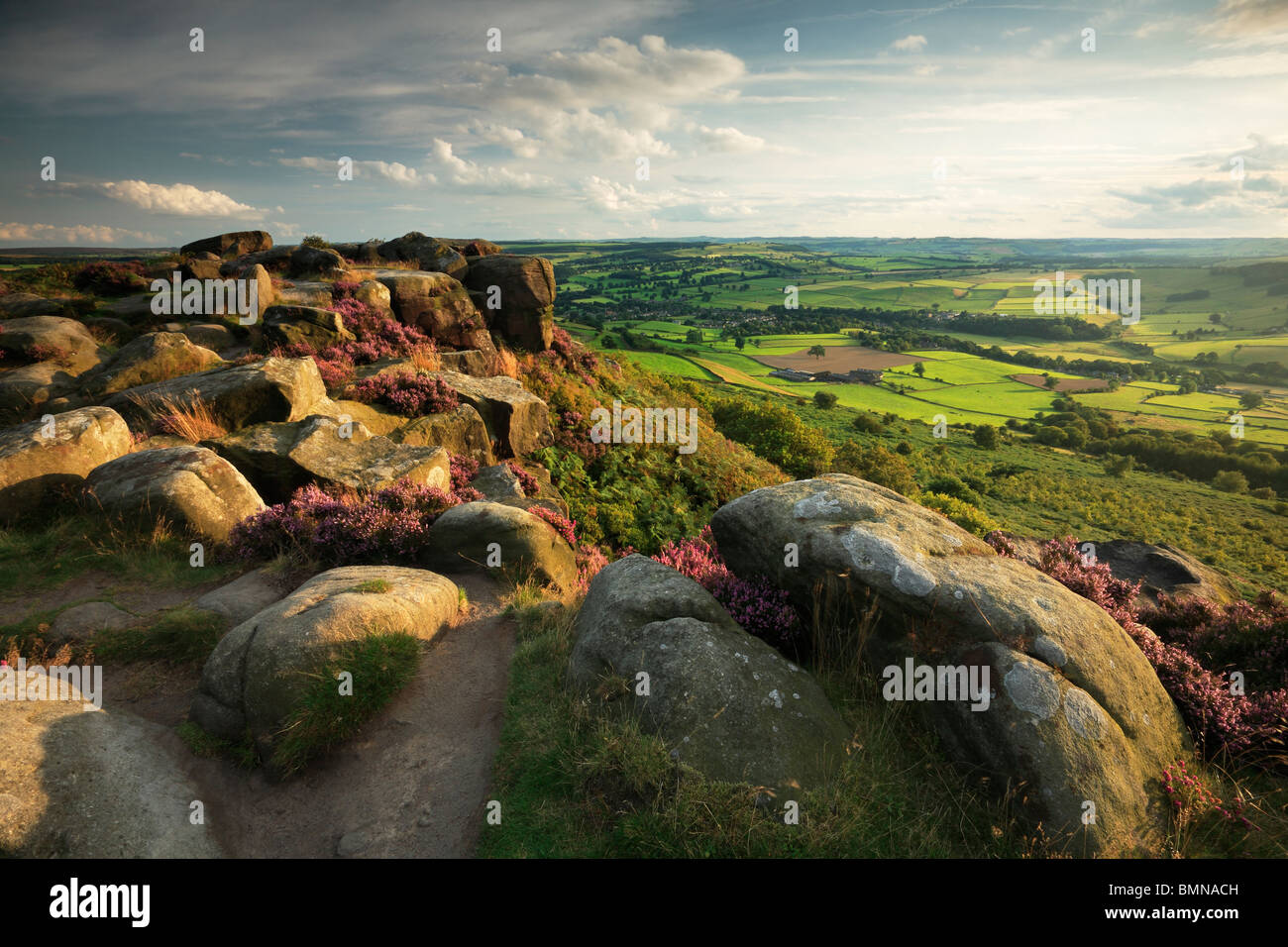 Spätsommer-Licht am Heidekraut bewachsenen Curbar Rand in den Peak District von Derbyshire, England Stockfoto