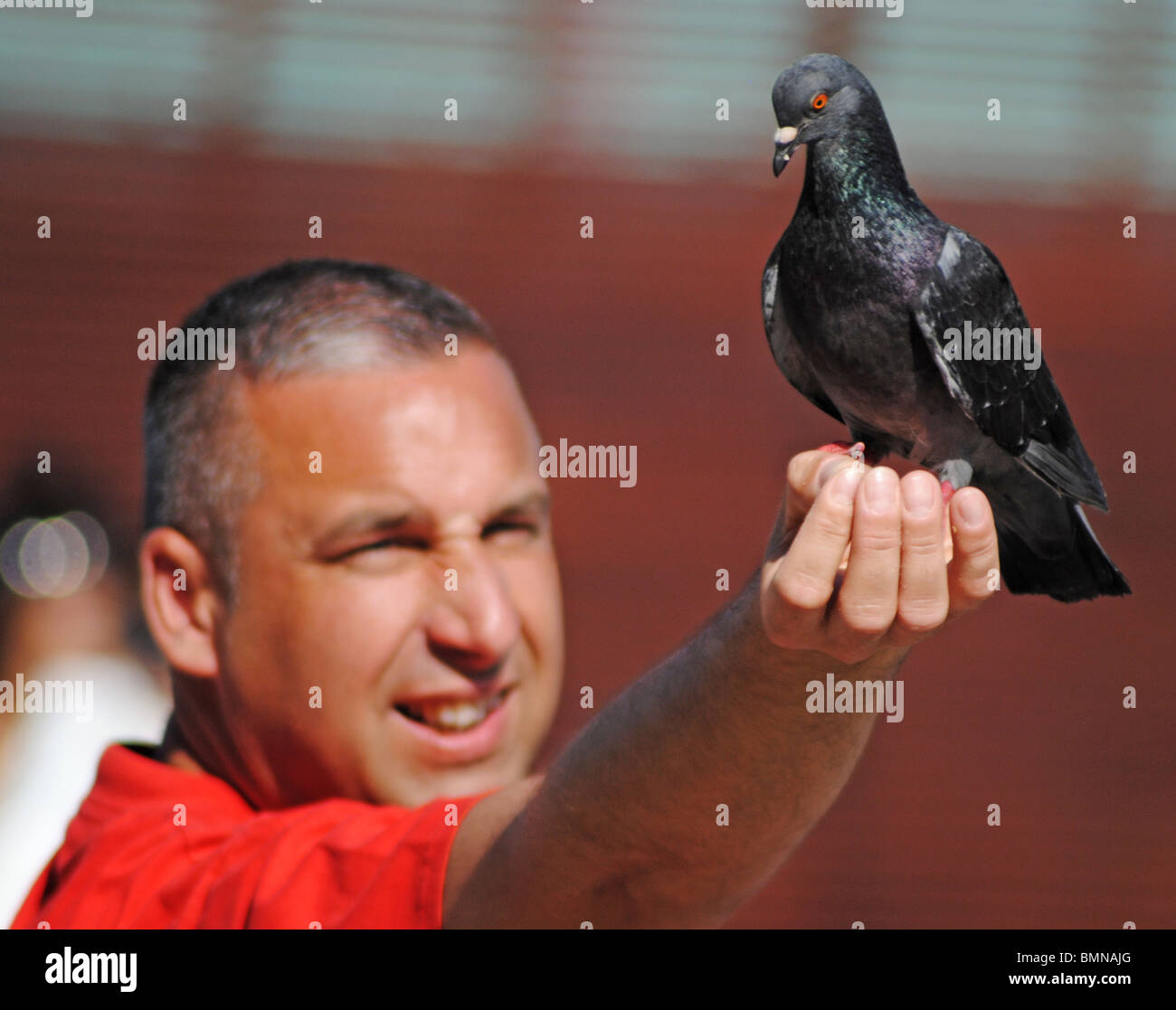 Ein Mann hält eine Taube in Markusplatz entfernt, Venedig, Italien Stockfoto