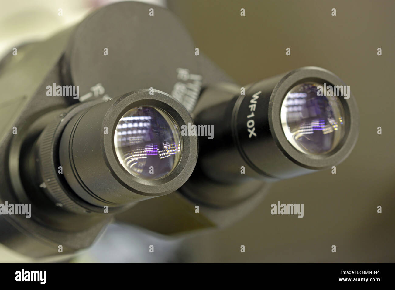 Binokular Nahaufnahme von Okular Stockfoto