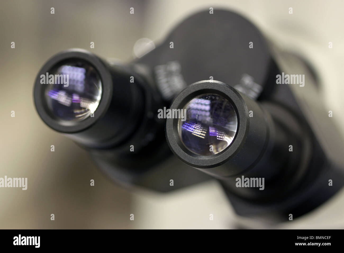 Binokular Nahaufnahme von Okular Stockfoto