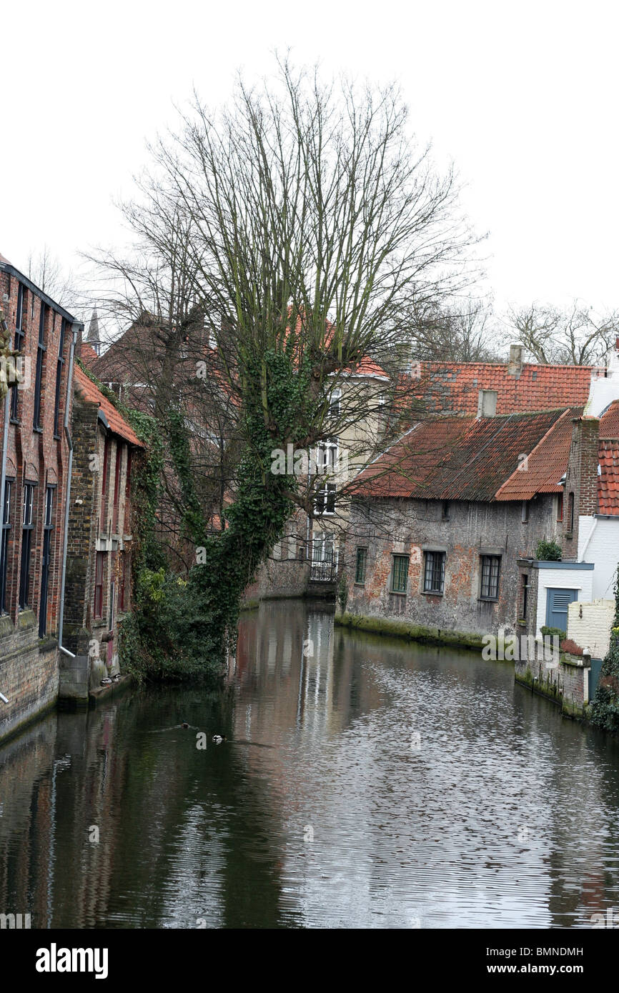 Brügge, Flandern, Belgien. Europa. Stockfoto