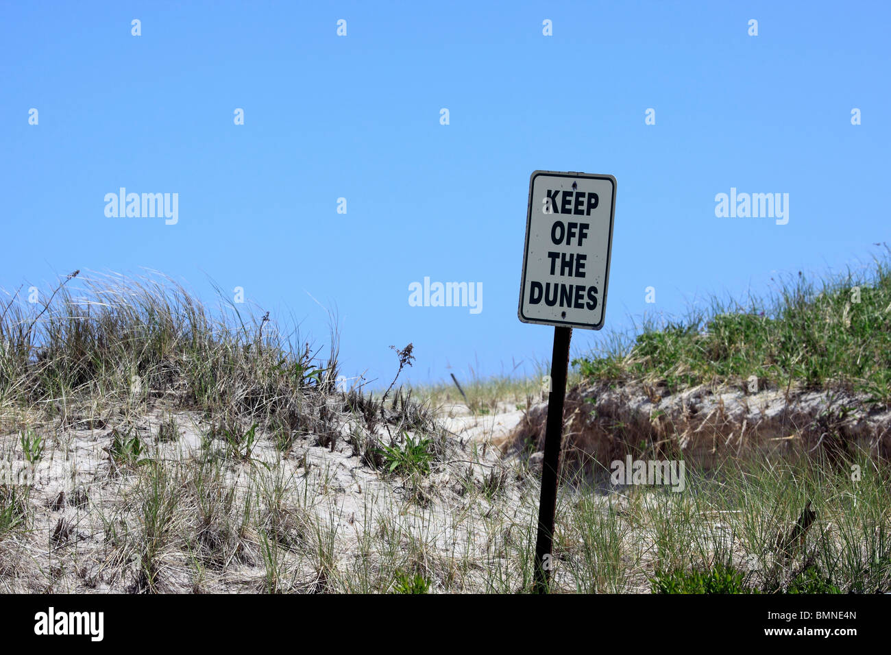 Schild Warnung Menschen zu bleiben weg von den Dünen Strand Long Island NY Stockfoto