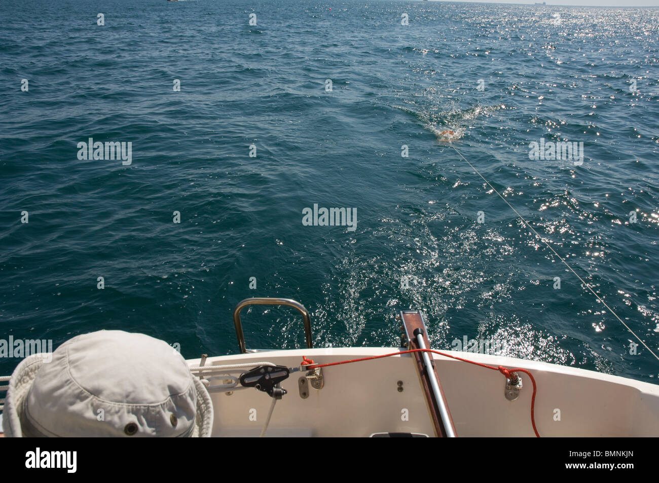 Plankton Schleppnetz, Pembrokeshire, Wales, UK, Europa Stockfoto