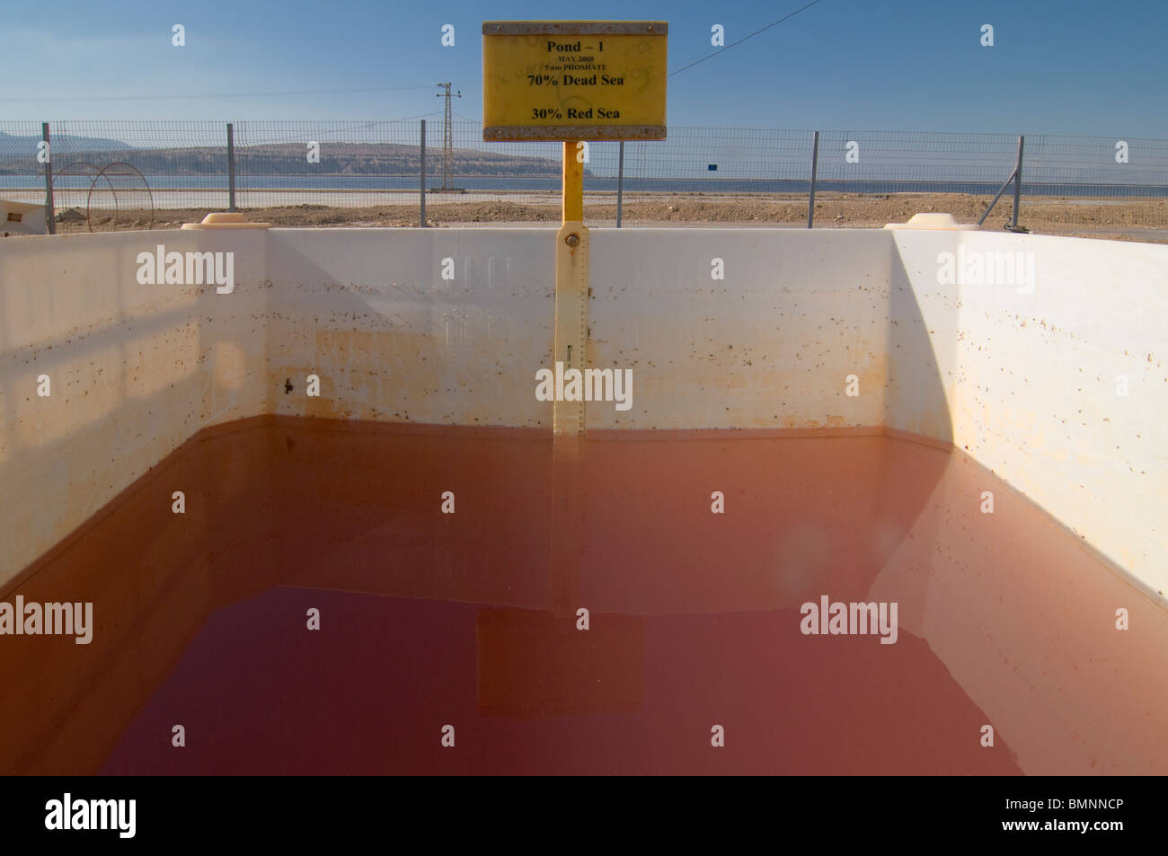 Detail von Mischwasser in der experimentellen mischen Pools von vor Ort auf der industriellen Dead Sea Works am 14. Juni 2010 durchgeführt. Versuche schon seit mehreren Jahren, die Mix Rotes Meer Wasser mit Wasser aus dem Toten Meer und haben zu Änderungen der Wasserfarbe, Wachstum von Algen ect. Umweltgruppen in Israel haben, äußern ihre Bedenken der vorgeschlagenen Red-Dead Conduit. Überwachung der geplante Bau einer wasserförderung die Verknüpfung der Lesen Meer zum Toten Meer durch eine Reihe von Kanälen und Tunneln in einem Versuch, den Niedergang zu verhaften. Stockfoto