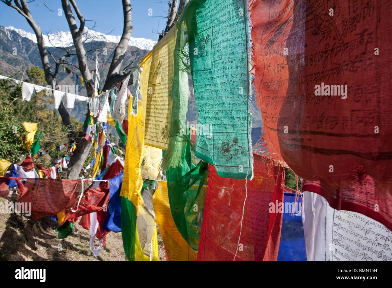 Tibetische Gebetsfahnen. McLeod Ganj (Tibet Regierung im Exil). Dharamsala. Indien Stockfoto