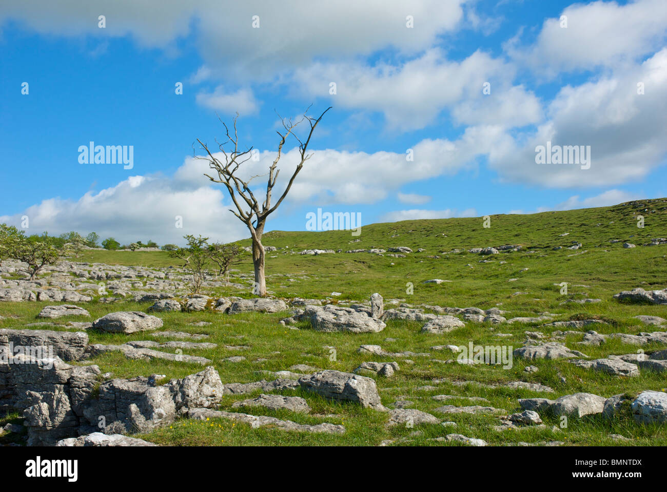Kalksteinlandschaft auf Dales Weg nahe Grassington, Wharfedale, Yorkshire Dales National Park, North Yorkshire, England UK Stockfoto